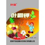 叶霸钾200g（箱装）