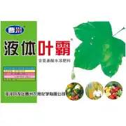 氨基酸型液体叶霸