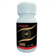 11.6%安诺信领锐（甲维·氯虫苯）SC24杀虫剂