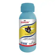 30%安诺信先锋（虫螨茚）SC100*60杀虫剂