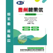 曹州根果优10541