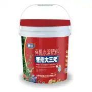 曹州大三元（悬浮）