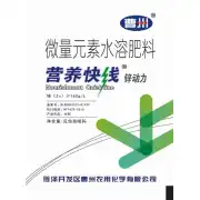 营养快线.新动力